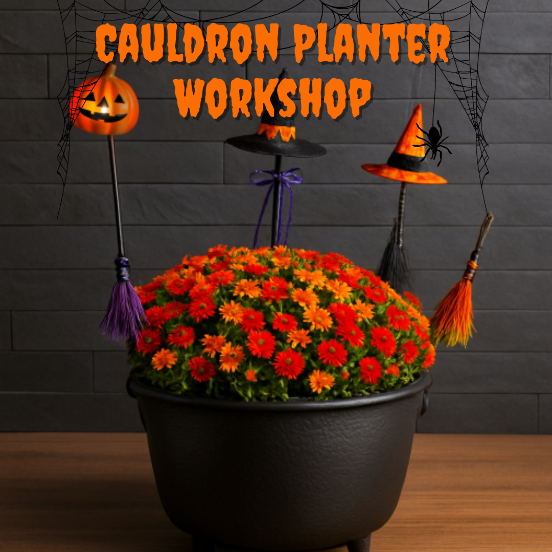 Cauldron Planter Workshop 10/8 & 10/11